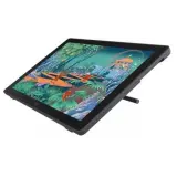 Huion Kamvas 24