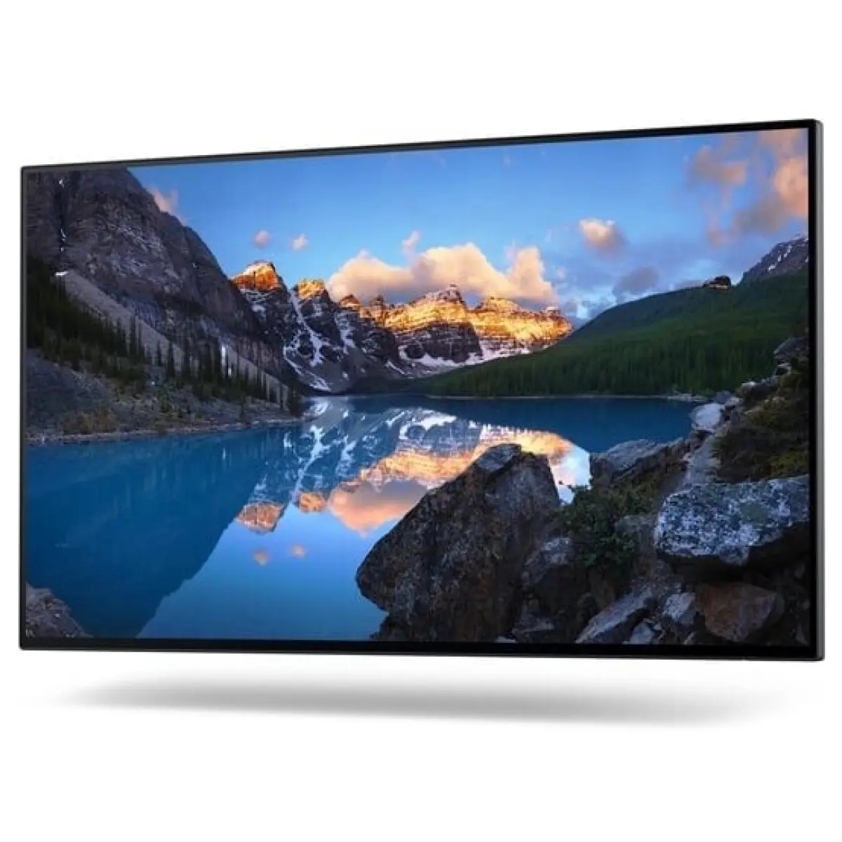 Dell UltraSharp U2422HWOS