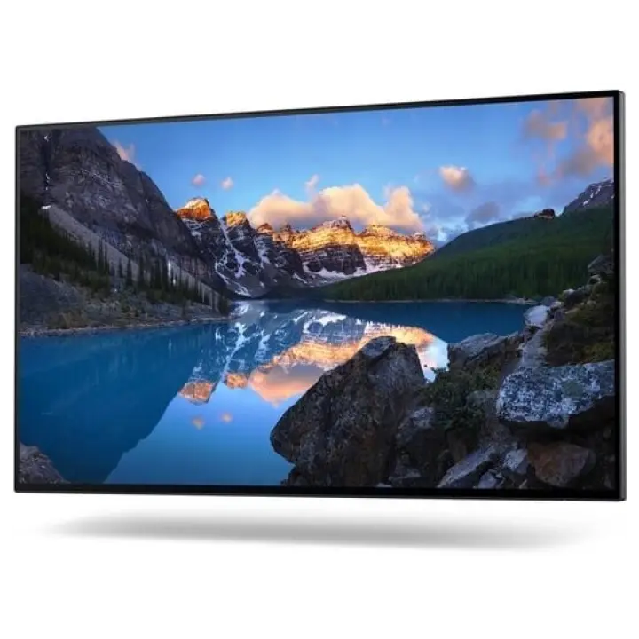 Dell UltraSharp U2422HWOS