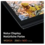 XP-Pen Artist Pro 16 (Gen 2)