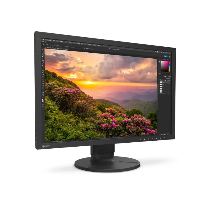 EIZO ColorEdge CS2400S